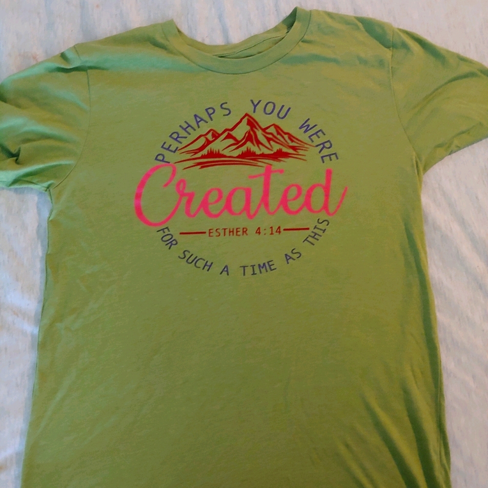 Esther 4:14 shirt